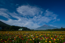 花の都公園